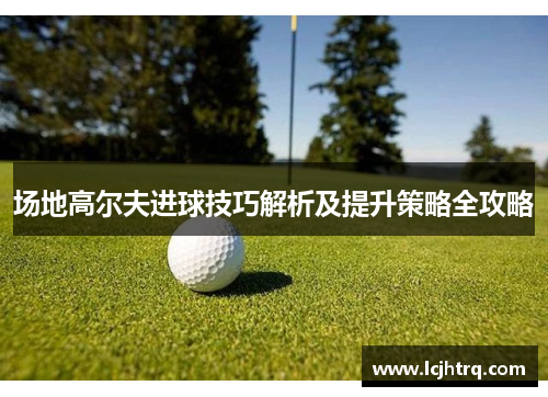 场地高尔夫进球技巧解析及提升策略全攻略