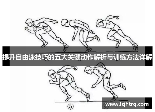 提升自由泳技巧的五大关键动作解析与训练方法详解