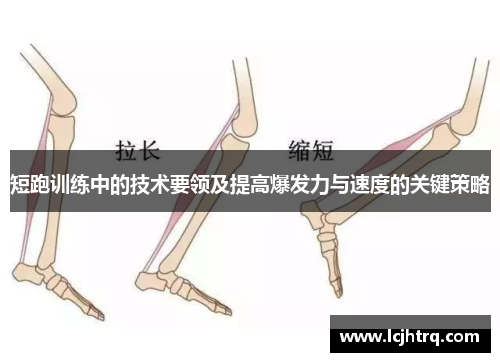 短跑训练中的技术要领及提高爆发力与速度的关键策略